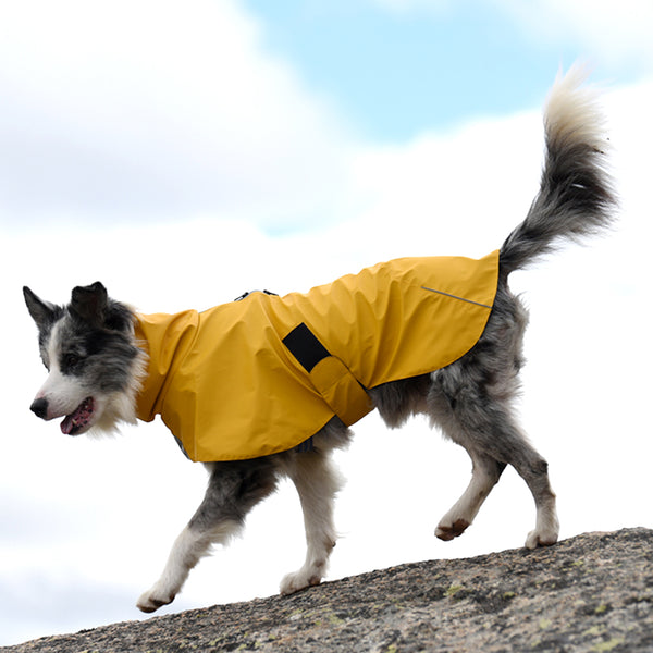 Impermeable para Perros - Chaqueta Protectora Resistente al Viento y Lluvia