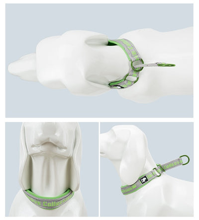 Collar Ajustable para Perro Truelove con Tela de Buceo Reflectante - Image 14
