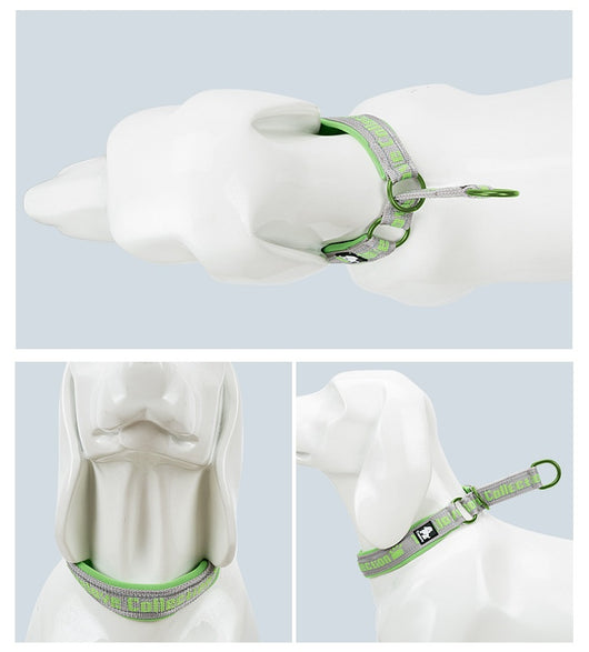 Collar Ajustable para Perro Truelove con Tela de Buceo Reflectante - Image 14