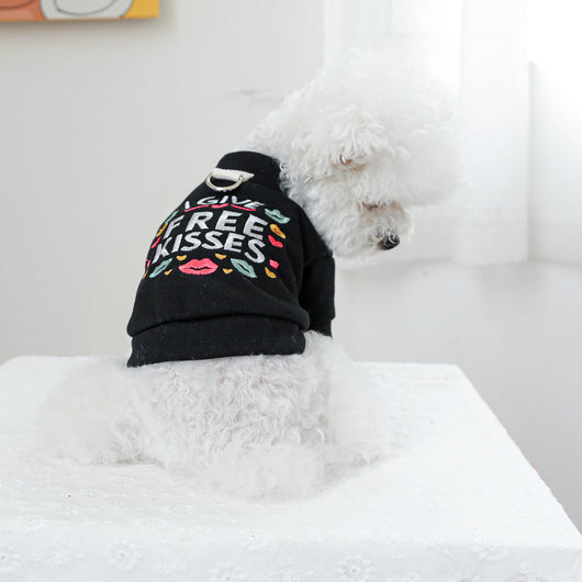Ropa Cálida para Mascotas - Colección Otoño Invierno - Image 8