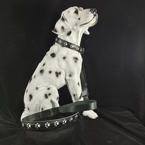 Collar LED Luminoso 7 Colores para Perros y Gatos con Carga USB