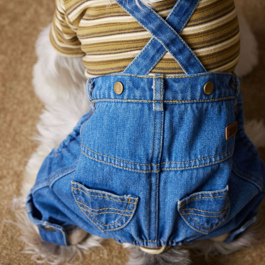 Ropa de Invierno para Perros Pequeños - Jeans Acolchado Térmico - Image 21