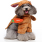 Brown rabbit