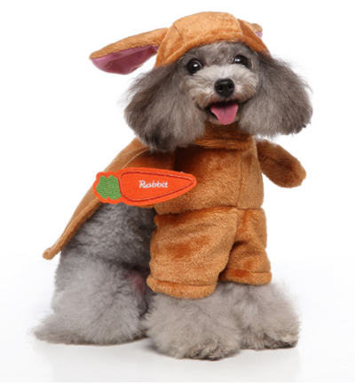 Disfraz para Mascotas Bípedo Divertido - Ropa de Perro para Halloween y Navidad - Image 9