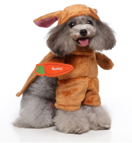 Disfraz para Mascotas Bípedo Divertido - Ropa de Perro para Halloween y Navidad - Image 9