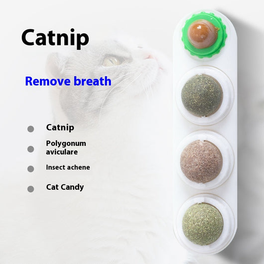 Pelota de Hierba Gatera Interactiva para Gatos - Image 7