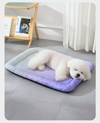 Tapete Refrigerante para Mascotas Degradado de Colores - Verano - Image 18