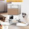 Comedero Automático Inteligente para Gatos con Doble Recipiente y Control por Temporizador Visual