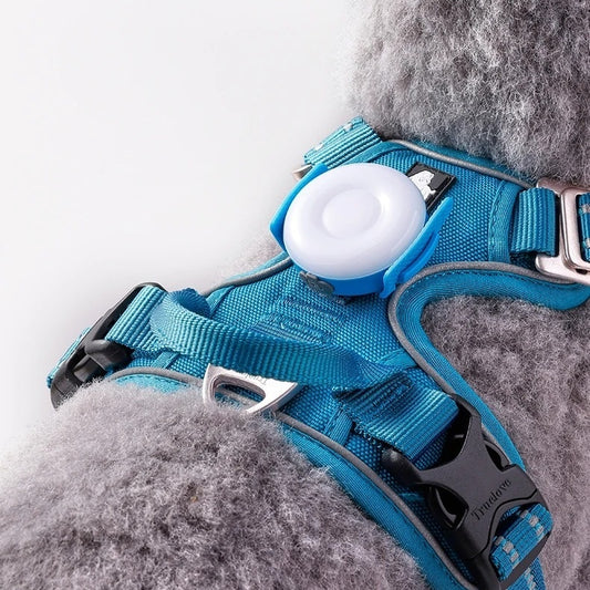 Luces LED Antiextravío para Paseos Nocturnos con Perros
