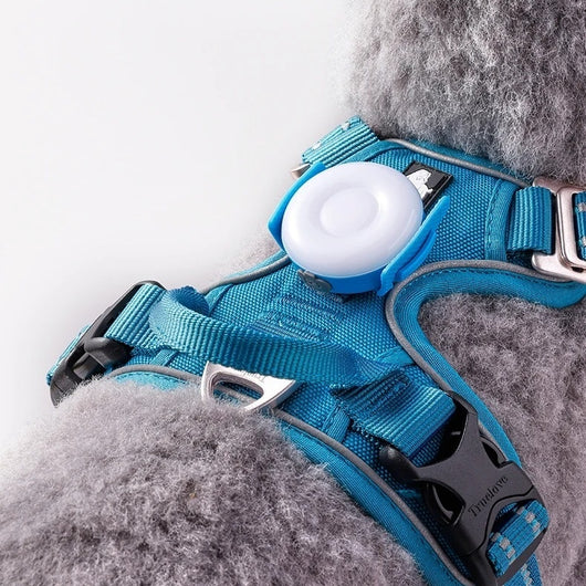 Luces LED Antiextravío para Paseos Nocturnos con Perros