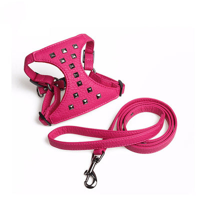 Correa de Cuero Ajustable para Perro con Tachuelas Estilo Premium - Image 10