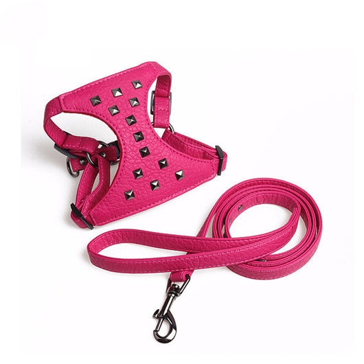 Correa de Cuero Ajustable para Perro con Tachuelas Estilo Premium - Image 10