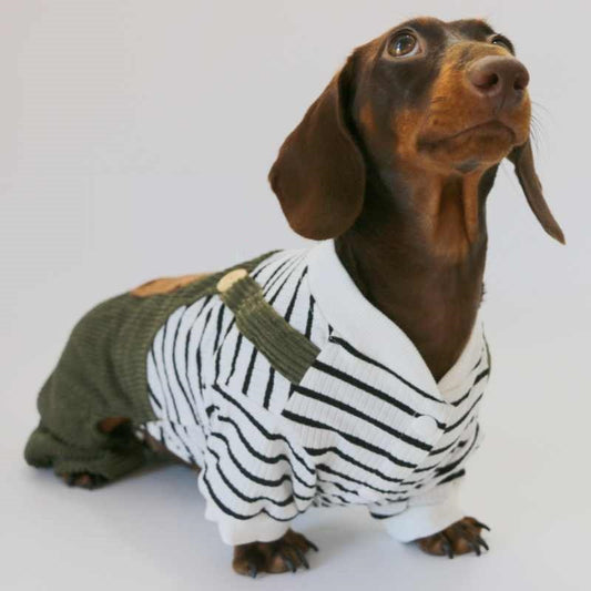 Ropa de Verano para Perros Pequeños - Pantalones de Pana Delgada - Image 2