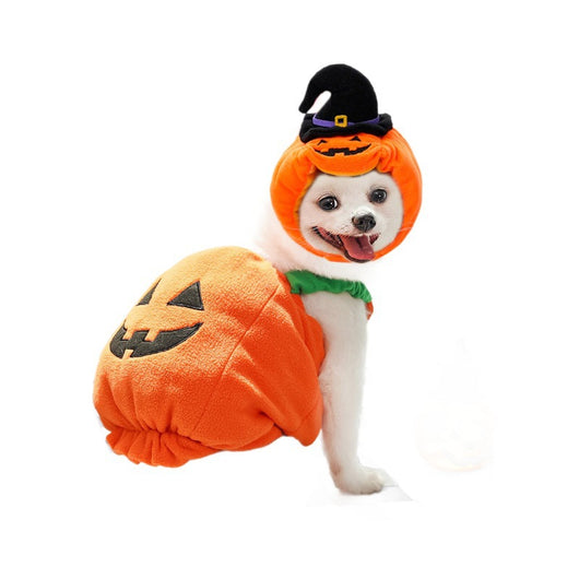 Disfraz de Calabaza para Perros y Gatos - Arnés Festivo para Mascotas Pequeñas - Image 14