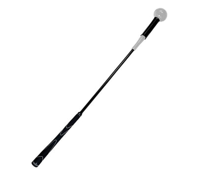 Sistema de Práctica de Golf en Interiores - Image 12