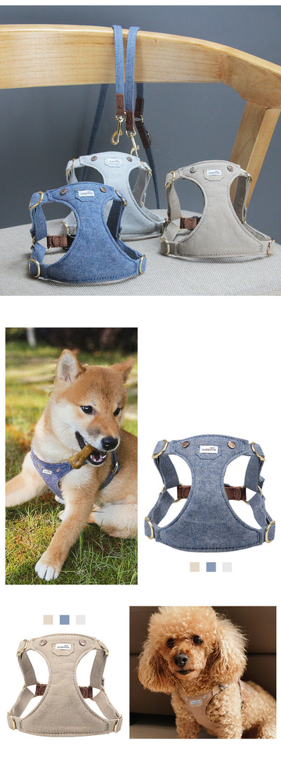 Arnés Ajustable para Perros Pequeños - Diseño Teddy Adorable - Image 15