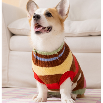 Suéter Cálido para Perro Mediano - Diseño Arcoíris con Rayas de Manzana para Otoño e Invierno - Image 32