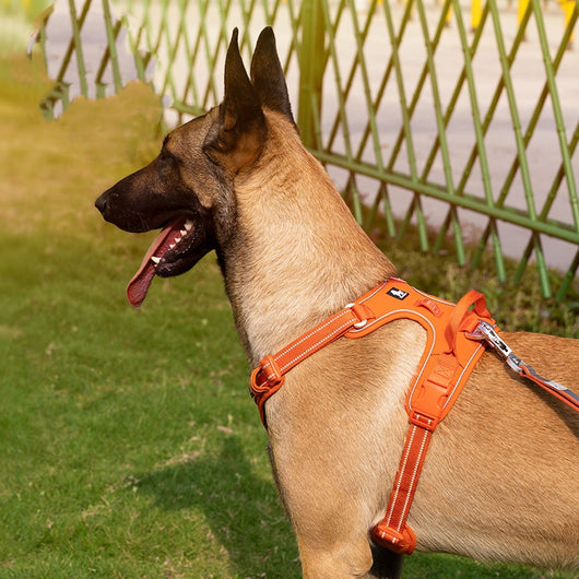Arnés Reflectante Camuflado para Perros con Tecnología Antiexplosión