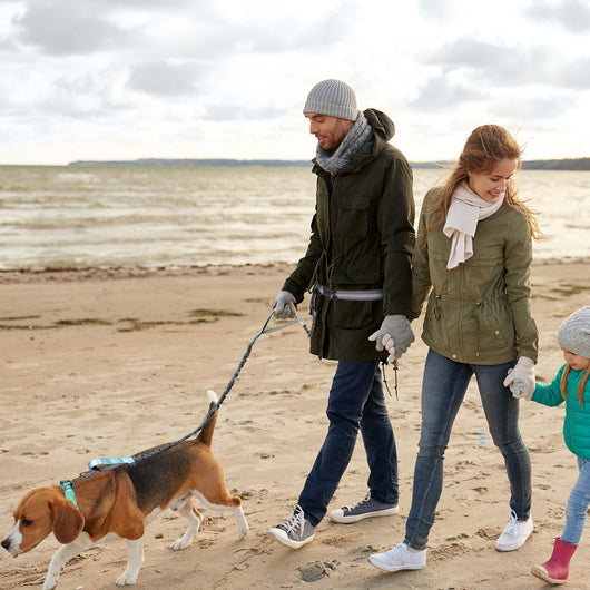Correa Extensible para Pasear Mascotas - Portátil y Segura - Image 10