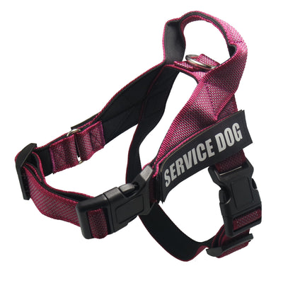 Arnés de Seguridad para Perros Grandes en Auto - Image 5
