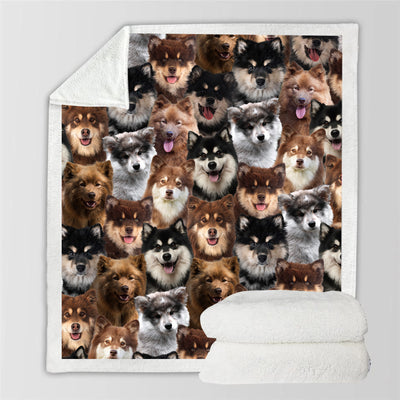 Manta Flanela Estampada para Perros de Moda - Image 28