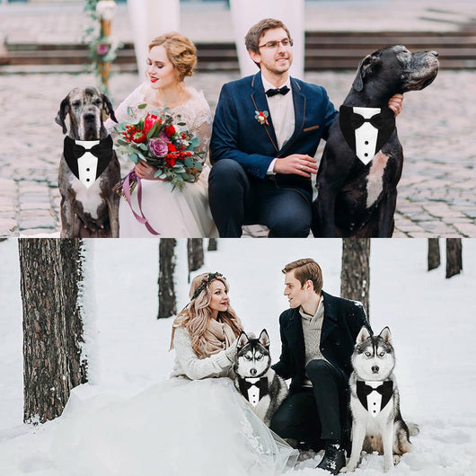 Traje de Esmoquin para Perros con Pajarita y Pañuelo - Disfraz Formal Ajustable - Image 5