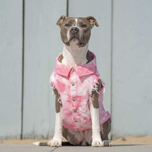 Chaqueta de Mezclilla Lavada para Perros - Ropa Cómoda y Elegante - Image 4