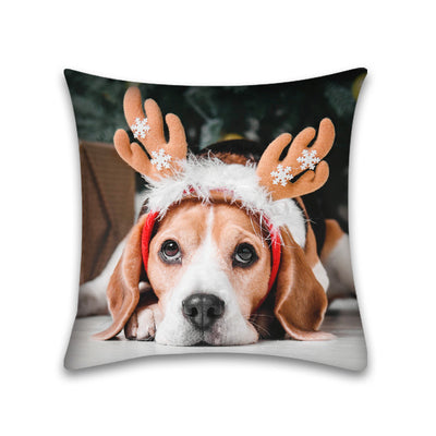 Funda de Almohada para Sofá de Mascota Piel de Durazno Cute Home - Image 33