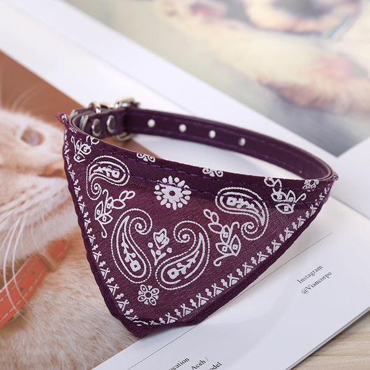 Pañuelo Triangular Absorbente para Collar de Perro - Image 5