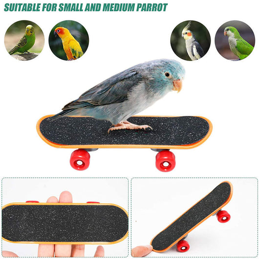 Wooden bird puzzle training toy set with a treat box, mini skateboard, and colorful ring toss game. - Image 5