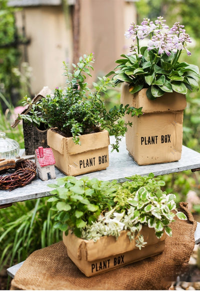 Maceta Creativa de Papel Cemento para Plantas de Interior y Balcón - Image 25
