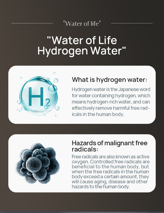 Vaso Generador de Agua Hidrogenada con Separación Hidrógeno-Oxígeno - Image 8