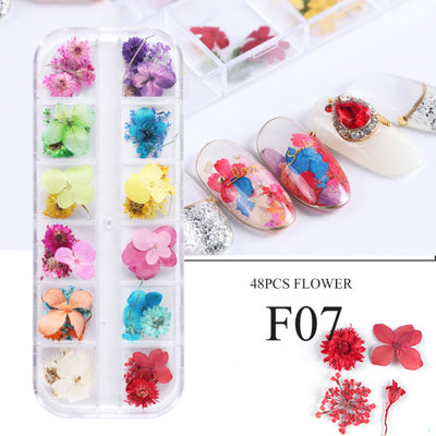 Kit de Flores Secas para Decoración de Uñas - 12 Compartimentos con Margaritas y Flores Silvestres Reales - Image 5