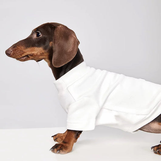Abrigo Térmico para Mascotas - Perros y Gatos Resistente al Frío - Image 19