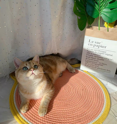 Torre para Gatos con Rascador de Sisal y Plataformas de Salto - Image 4