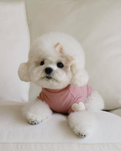 Suéter Bordado para Perro - Abrigo Otoño e Invierno - Image 8