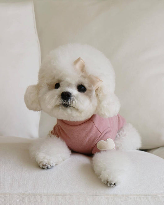 Suéter Bordado para Perro - Abrigo Otoño e Invierno - Image 8