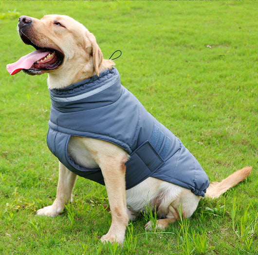 Abrigo Impermeable para Perros Grandes - Trinchera Térmica Corgi y Razas Medianas - Image 4