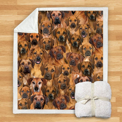 Manta de Franela Estampada para Perros de Diseño Moderno - Image 65