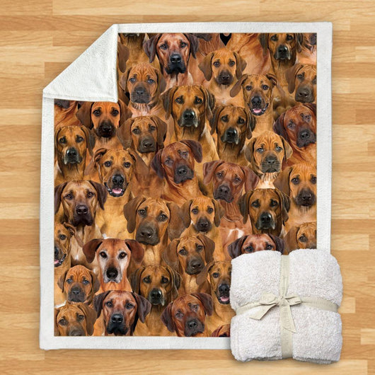 Manta de Franela Estampada para Perros de Diseño Moderno - Image 65