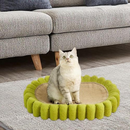 Rascador Ovalado para Gatos con Cuenco - Protector de Muebles y Nido Acogedor - Image 4