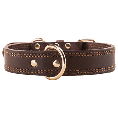 Collar de Cuero Genuino para Perros Medianos y Grandes - Golden Husky - Image 15