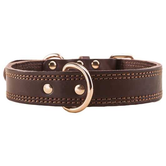 Collar de Cuero Genuino para Perros Medianos y Grandes - Golden Husky - Image 15