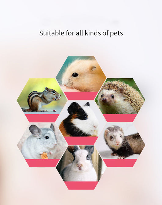 Hamaca Colgante para Mascotas Pequeñas - Túnel y Nido Multifuncional - Image 12