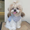 Chaleco Transpirable Ligero para Mascotas - Diseño Adorable