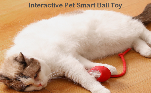 Pelota Inteligente Automática para Perros y Gatos - Juguete Interactivo 360° - Image 13