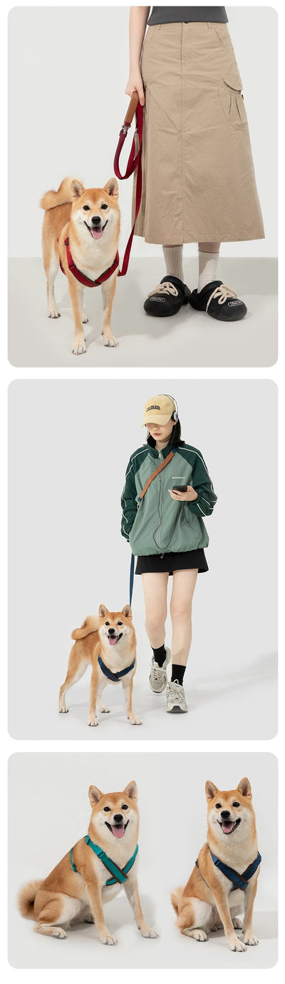 Cuerda Interactiva para Perros Corgi y Shiba Inu - Juguete de Tracción Doble - Image 17