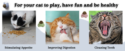 Pelotas de Catnip Adhesivas para Pared - Juguetes Dentales para Gatos - Image 11