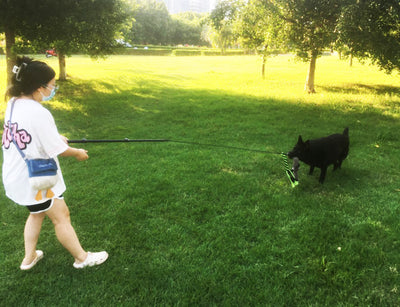 Telescopic dog teasing rod toy with black foam grip and multiple colorful rope attachments, including a carrying bag. - Image 16