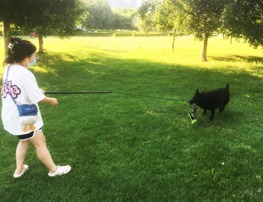 Telescopic dog teasing rod toy with black foam grip and multiple colorful rope attachments, including a carrying bag. - Image 16